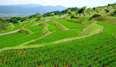 生态环境部通报8月和1—8月全国环境空气质量状况