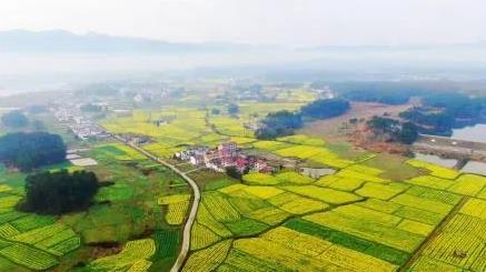 美丽江西“九江样板”建设看成效 | 修水县：“绿水青山就是金山银山”省级实践创新基地