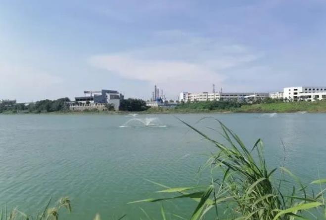 管网差、历史欠账多咋办？九江“政企结合”治理排污口