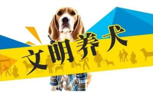 2023年3月1日起施行！《黄石市养犬管理条例》来了