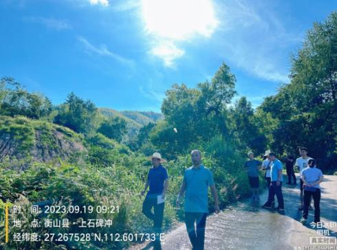 衡山县有序推进历史遗留矿山生态修复工作