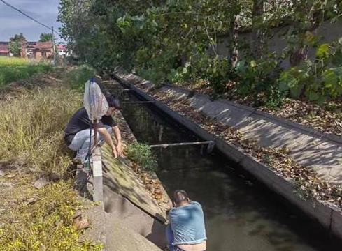 四不两直 | 防止黑臭水体返黑返臭，南县分局直奔现场采样检测